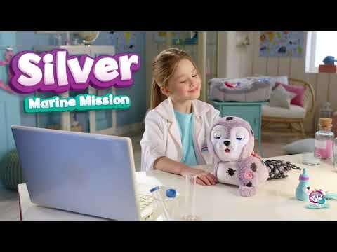 مهمة البحرية الفضية - IMC